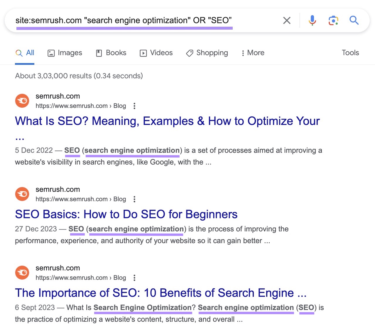 Google's SERP for "site:sr03.amztoolservice.com "search engine optimization" OR "SEO”” site search